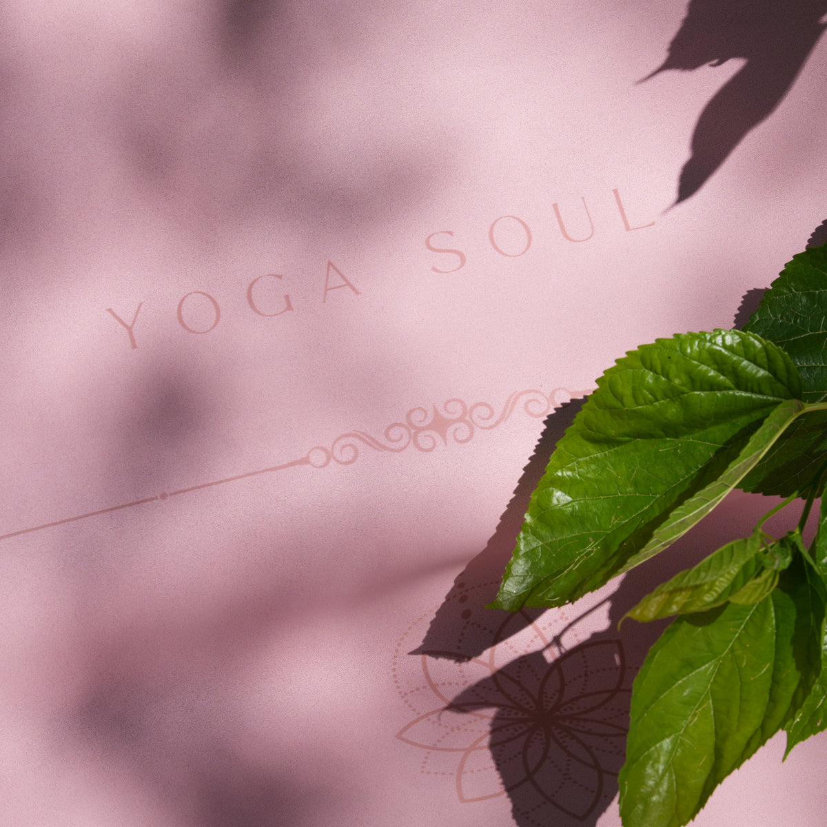 PowerPro Yoga Mat | Mandala Blush