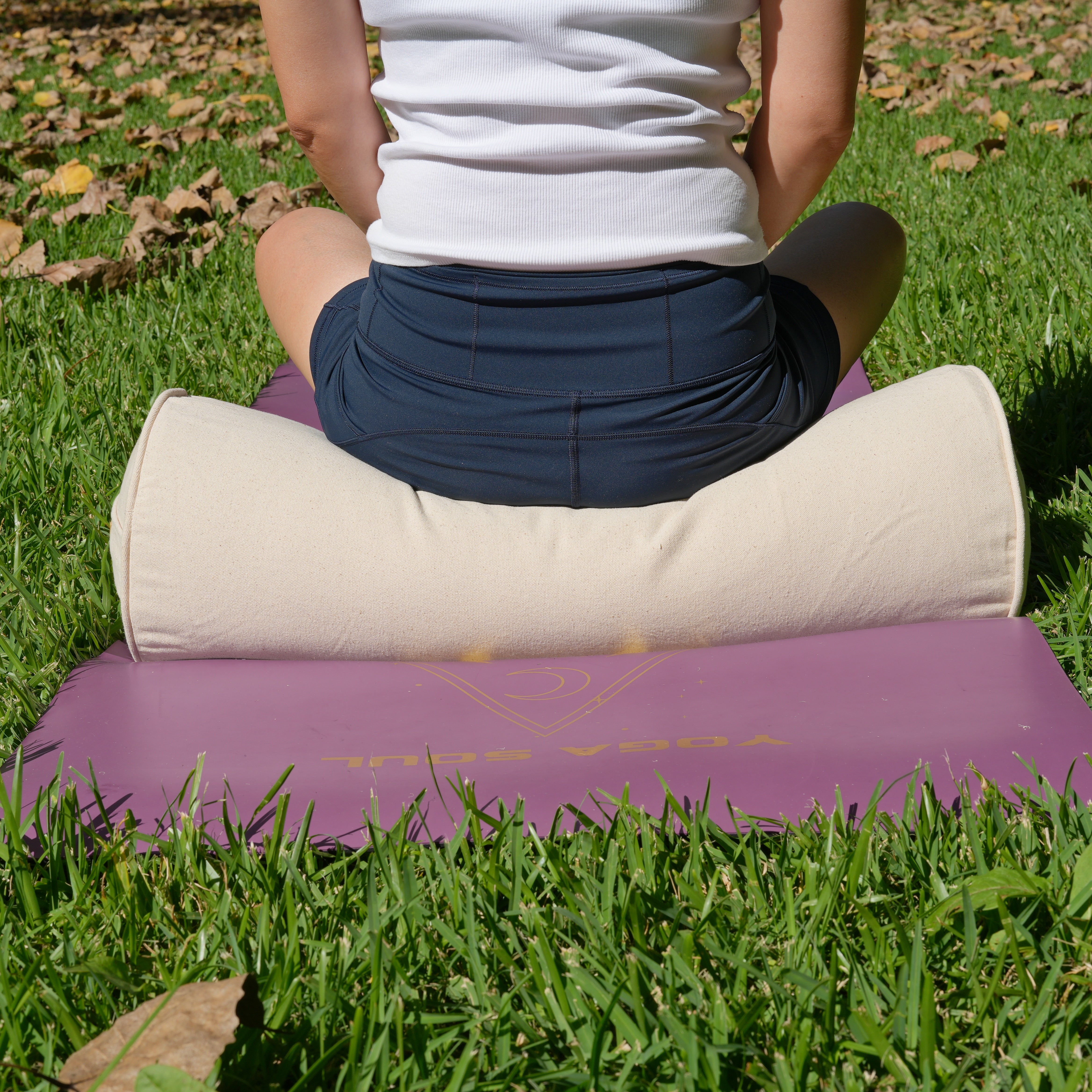 [page.title] | Yoga Soul